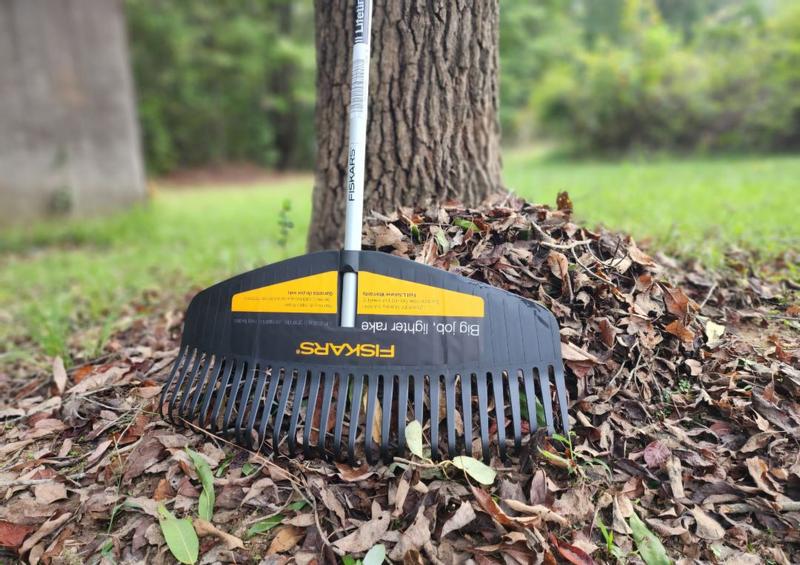 Photo - commentaire 5.