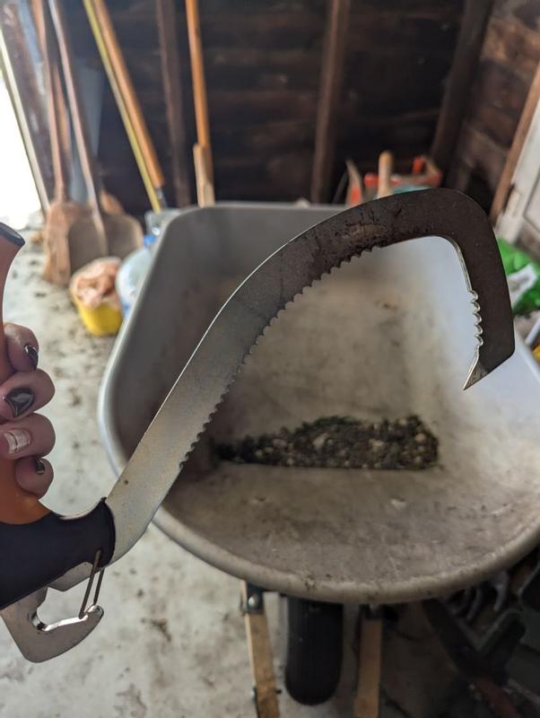 Photo - commentaire&nbsp;2.