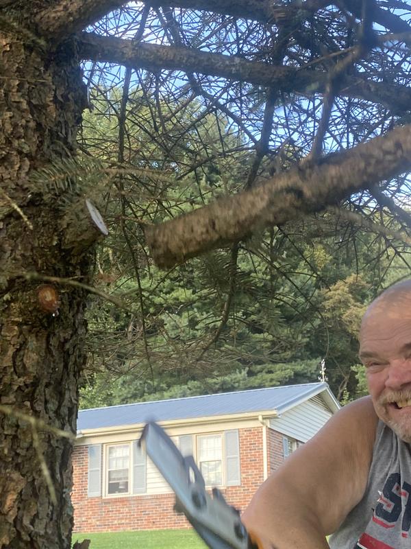 Was able to cut down a huge tree limb