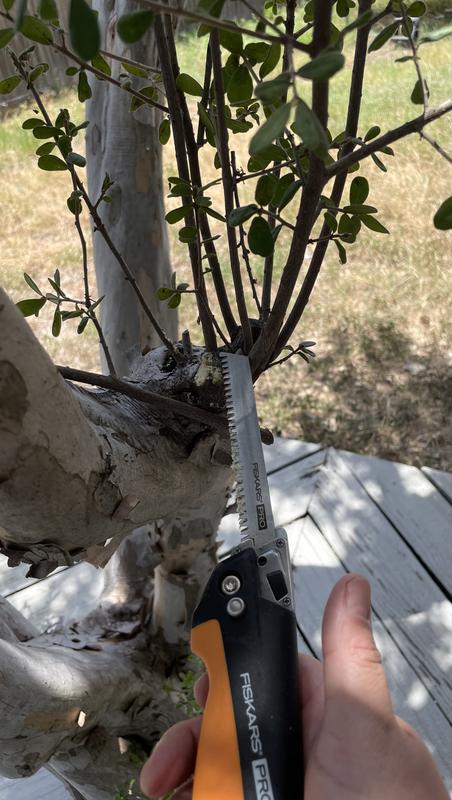 Photo - commentaire 7.