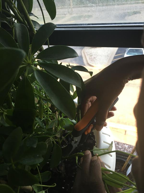 Fiskars® Floral Pruner