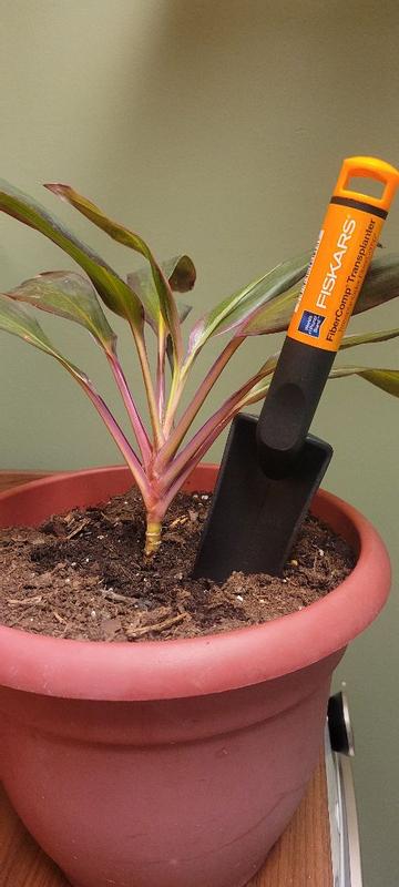 Fiskars 384230-1001 Ergo Scratch Tool Garden Transplanter Aluminum in ...