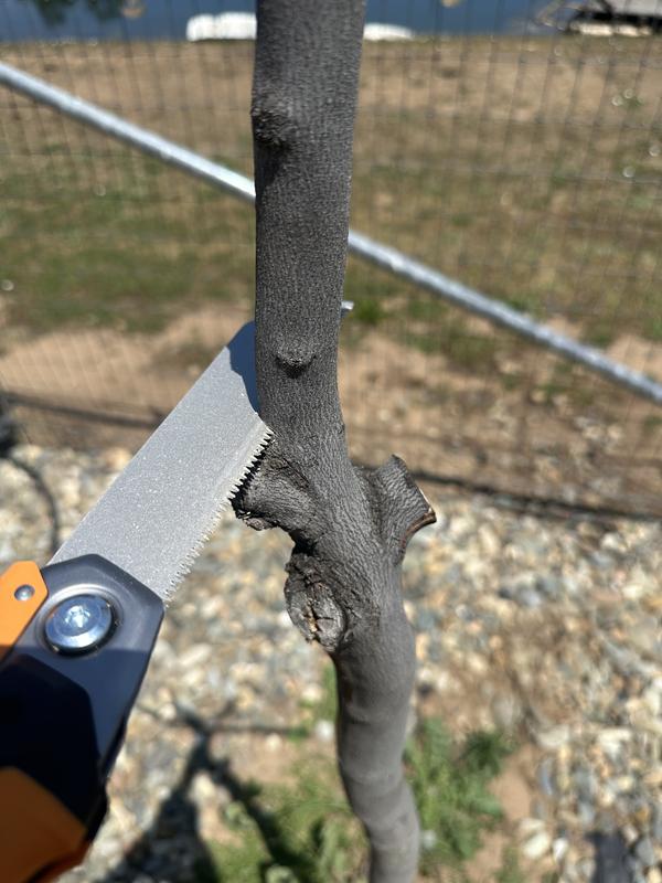 Photo - commentaire&nbsp;6.