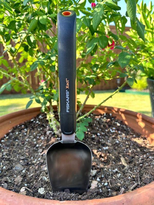 Photo - commentaire&nbsp;6.