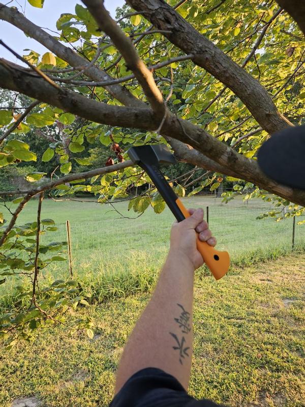 Photo - commentaire 6.