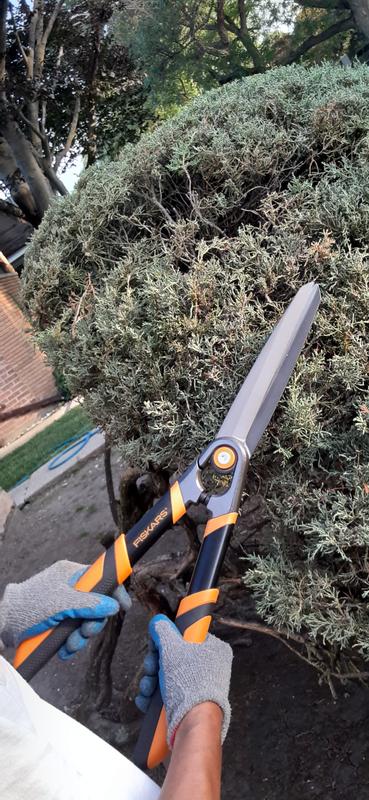 Forged Hedge Shears with Replaceable Blade 23 Fiskars