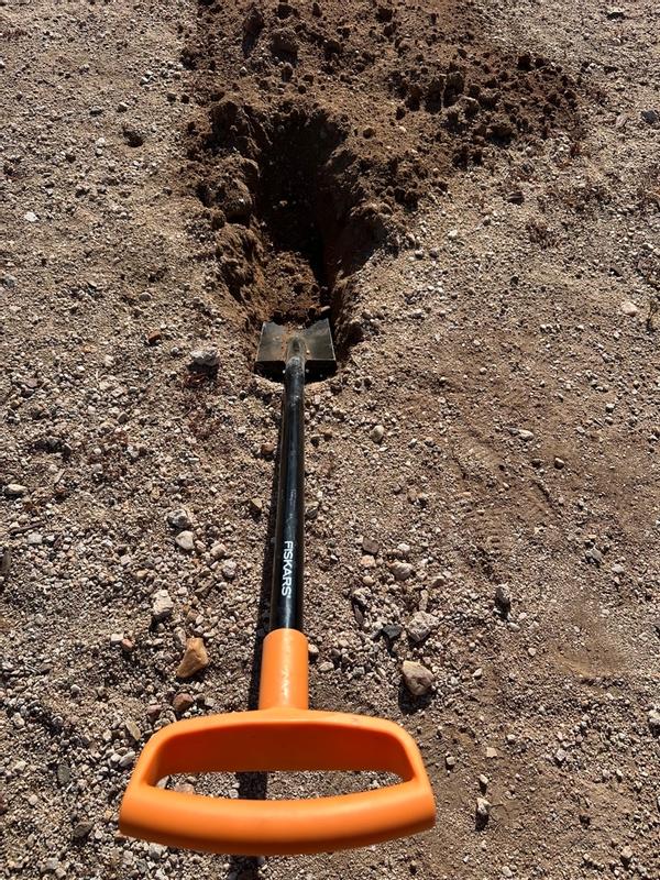 Photo - commentaire 6.