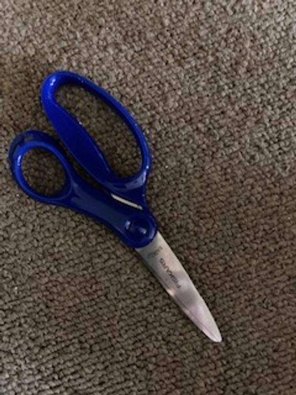 Fiskars® Big Kids Scissors, Blue (6 in.)