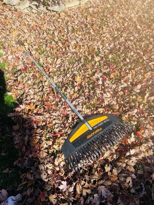 Photo - commentaire 8.