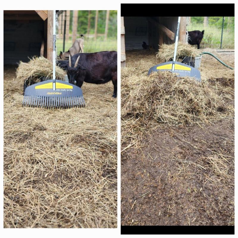 Photo - commentaire 3.