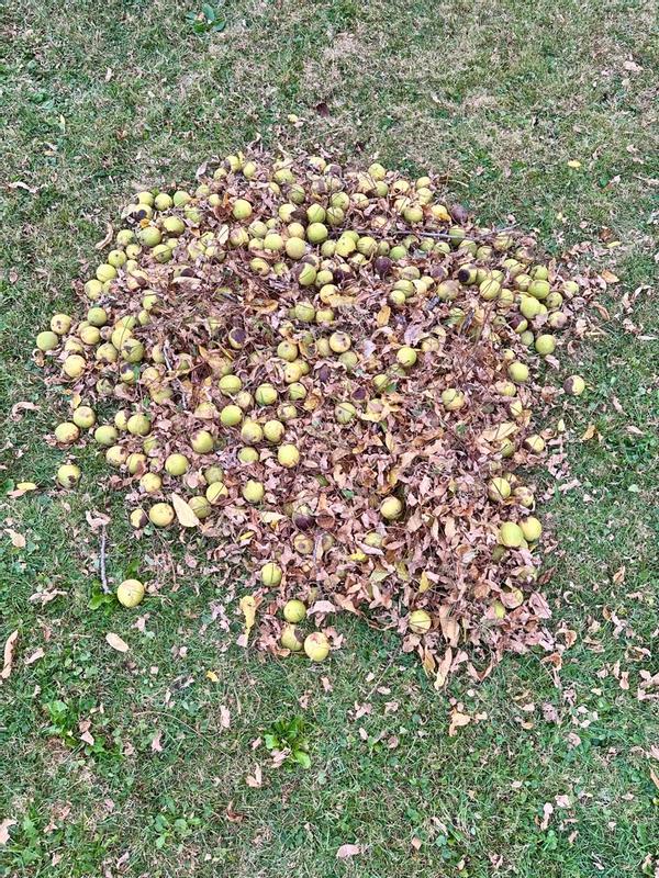 Photo - commentaire 6.