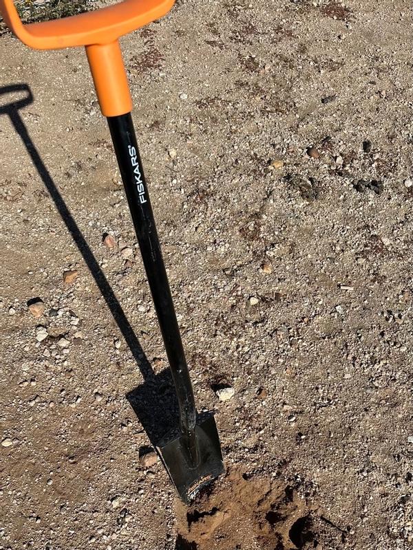 Photo - commentaire 7.