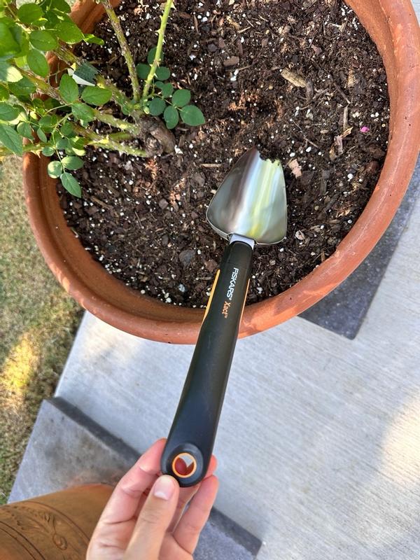 Photo - commentaire&nbsp;7.