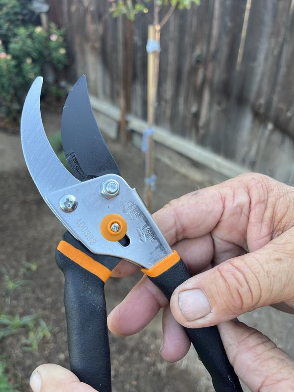 BEST HAND PRUNERS  Fiskars Pruners Review 