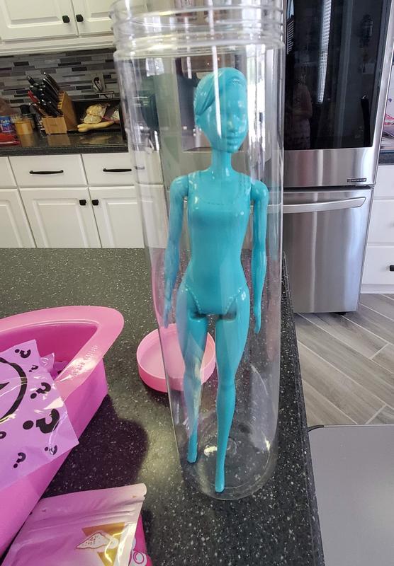 Which Barbie did we get??