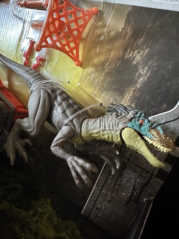 Photo from dnatalinka