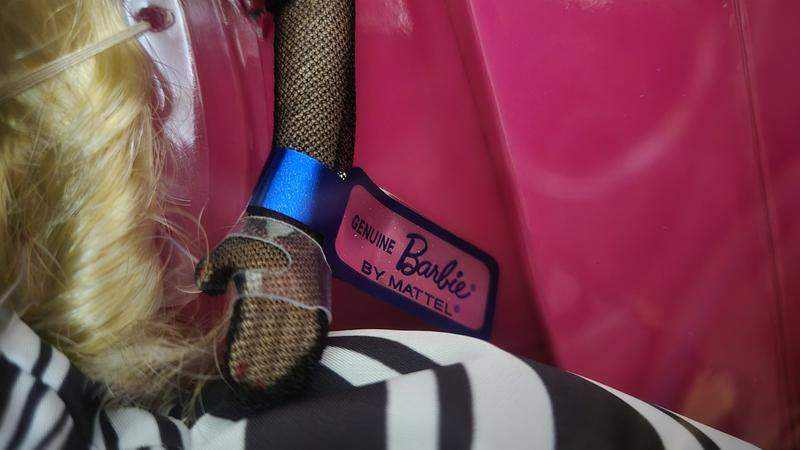 Where the glasses landed, glad we saw them