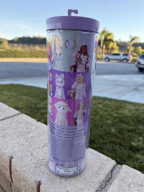 Getting Ready To See What’s Inside!