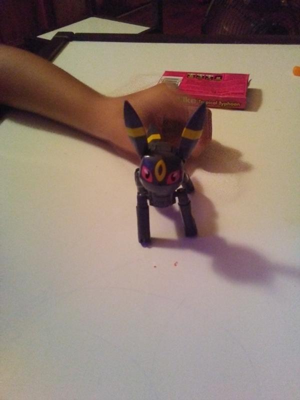 One finished Pokemon.