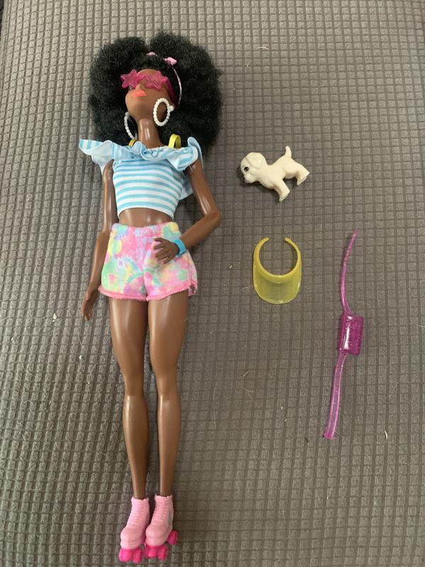 BARBIE Afro Doll w/ Roller Skates Fashion Accessories & Pet Puppy HPL77 NEW