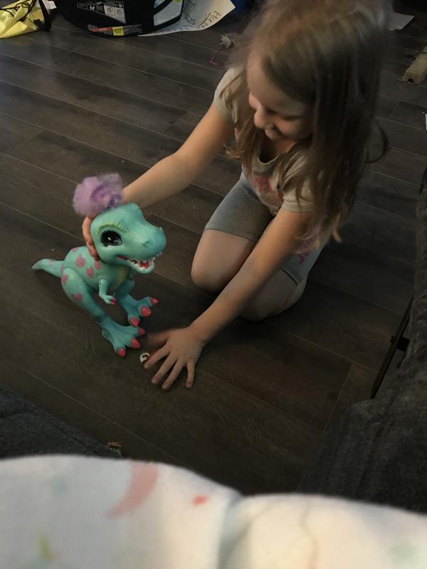 Photo - commentaire&nbsp;5.