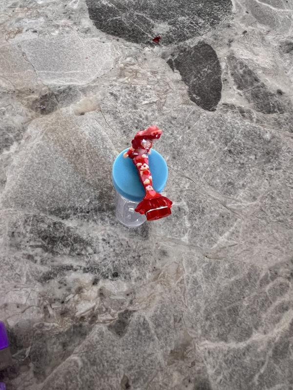 Photo - commentaire&nbsp;5.