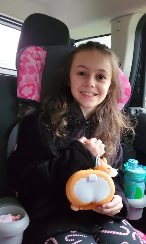 Loving the silly corgi butt!