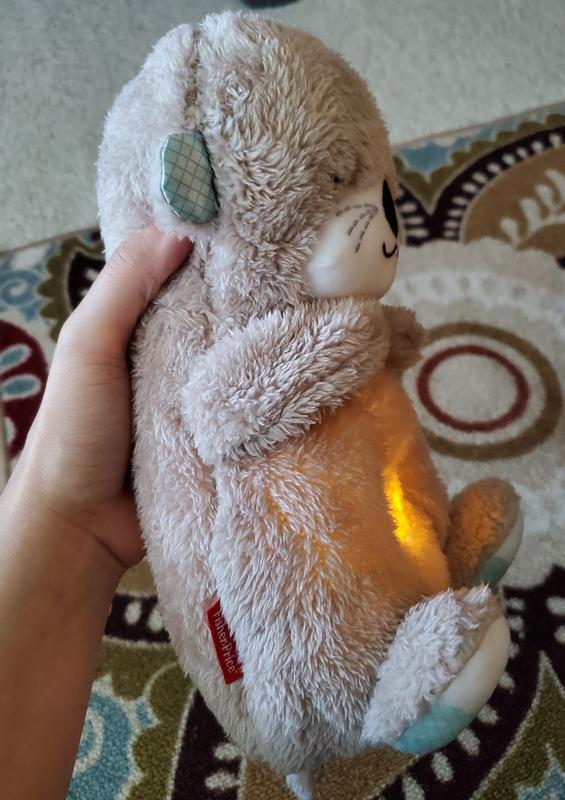 Belly goes in and rises up.