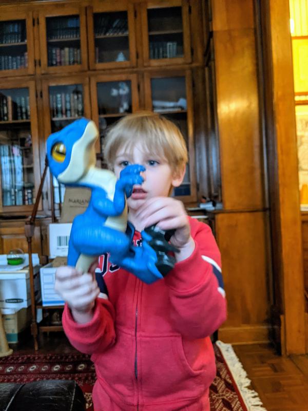 Playing with a raptor