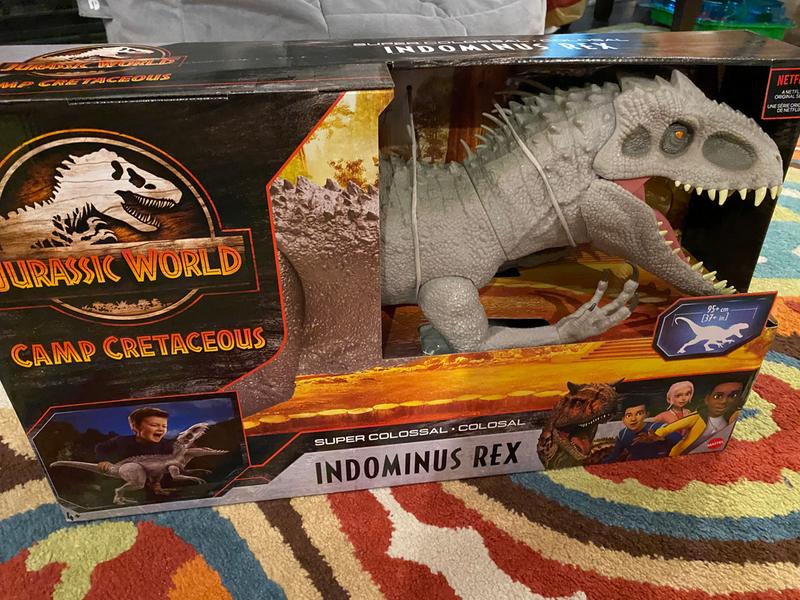 colossal in dominus rex