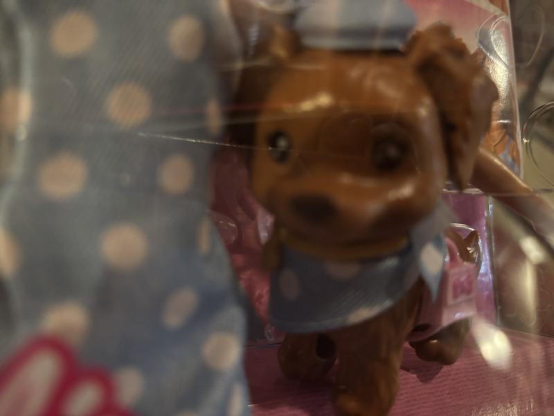 Cutest puppy comes with matching outfits and pill box hat