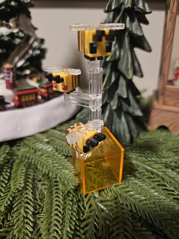 Photo - commentaire 7.