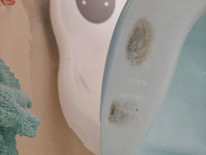 Photo - commentaire&nbsp;3.