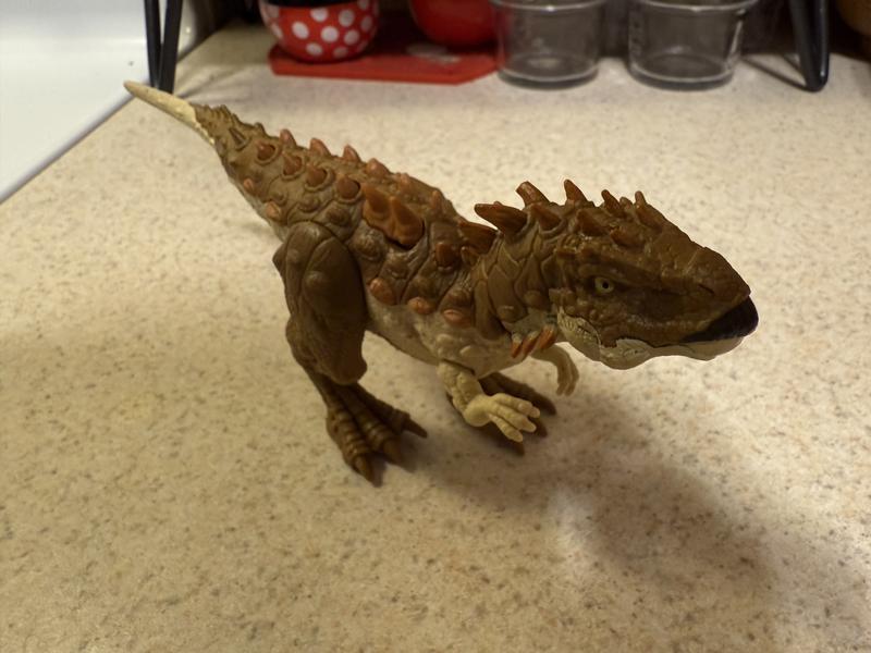 Photo - commentaire 3.