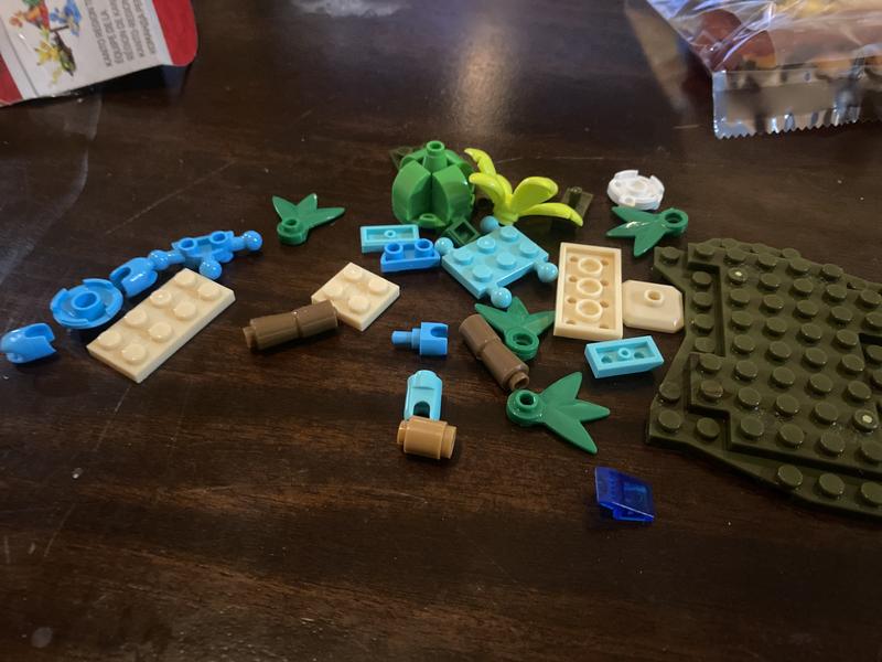 Photo - commentaire 1.