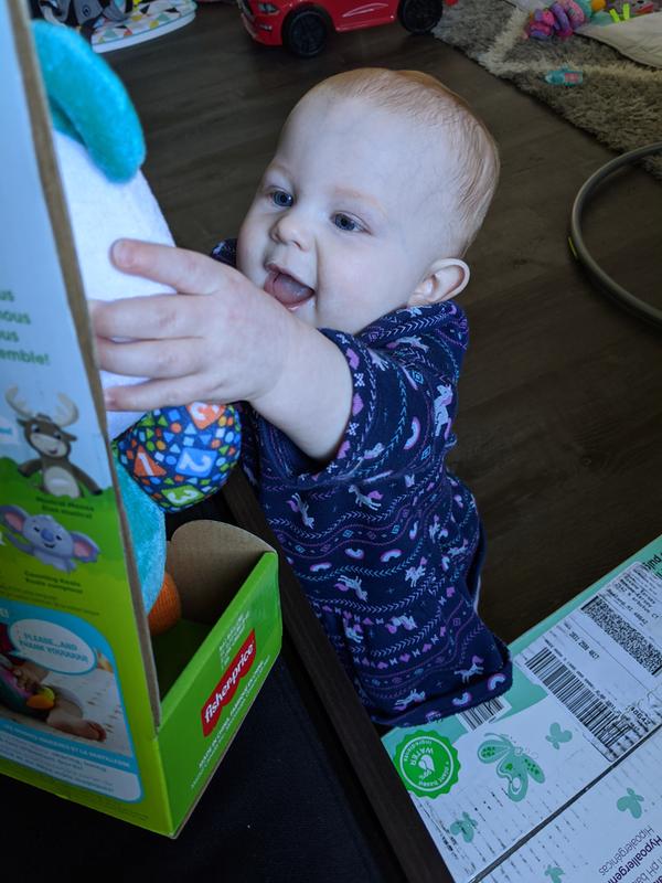 Fisher-Price Linkimals Play Together 