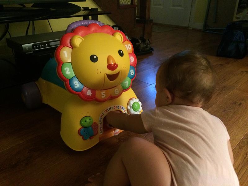 Retrieving the "treats"... she loves discovering how they "magically" appear :)