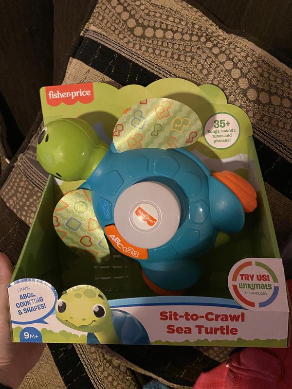 Fisher-Price Linkimals Sit-to-Crawl Sea Turtle - GTK08