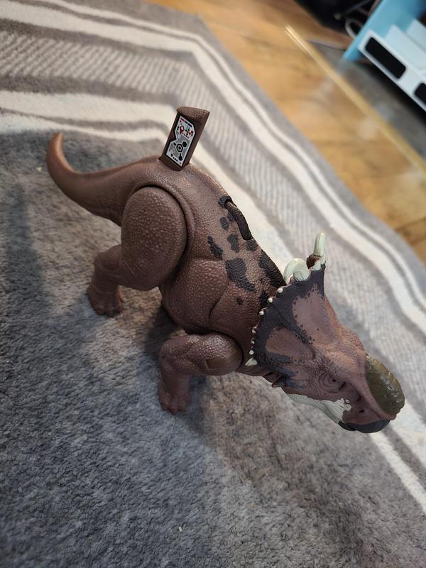 Slide out DNA sequence.