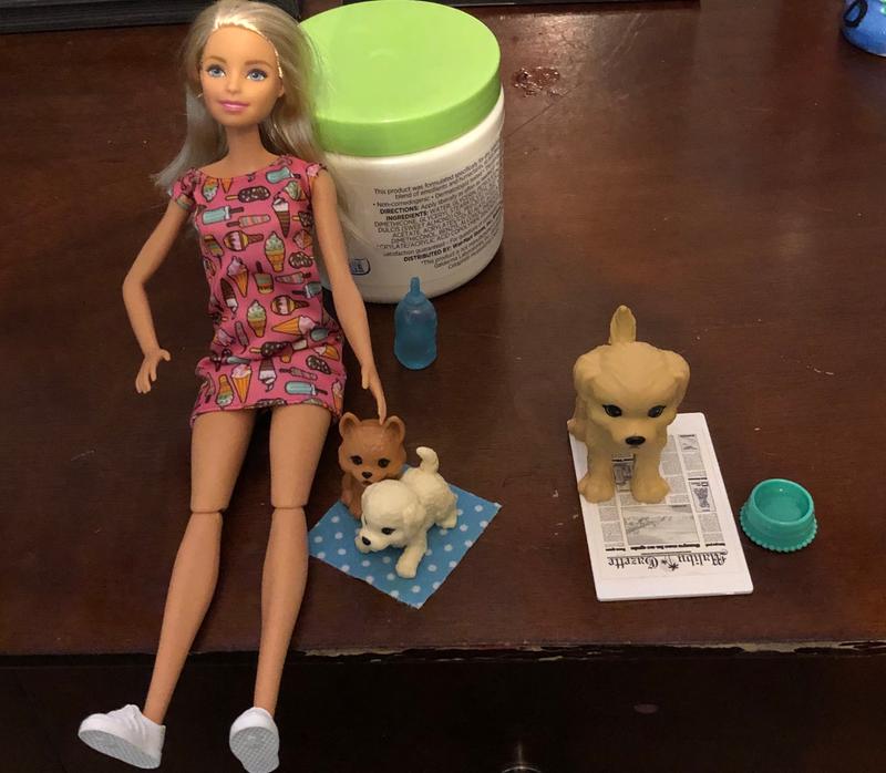 Training the doggies