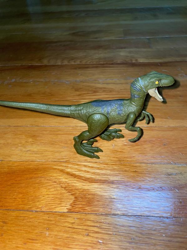 Photo - commentaire 5.