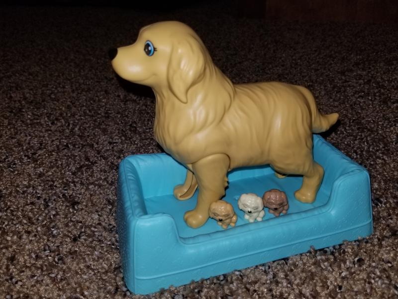 Mama dog and her three baby puppies.