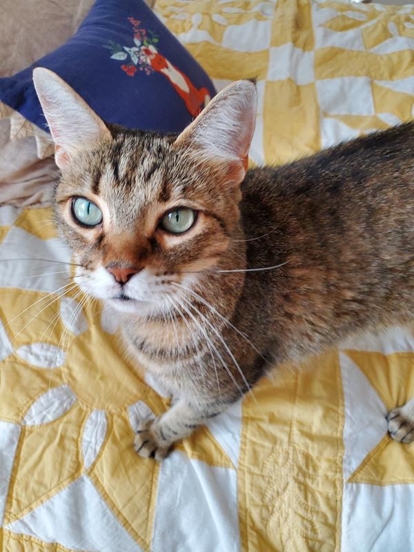 Review Thumbnail Image 0 231443198