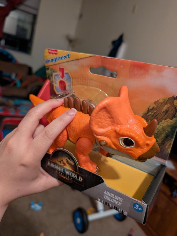 Photo - commentaire 6.