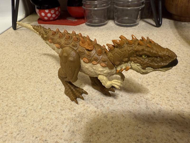 Photo - commentaire 2.