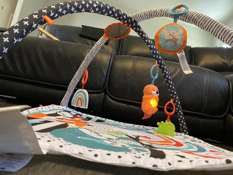 All set up. Showing all the toys