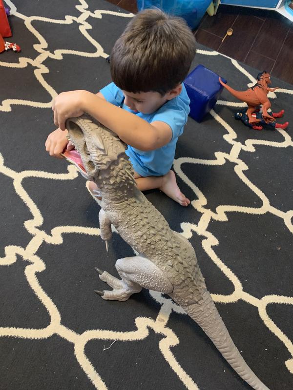 Photo - commentaire&nbsp;6.