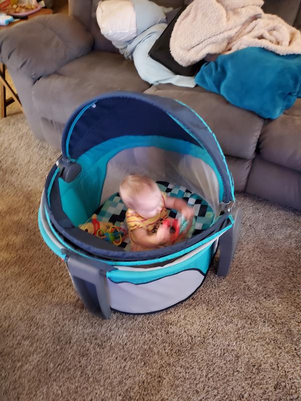 Fisher-Price® On-the-Go Baby Dome | buybuy BABY