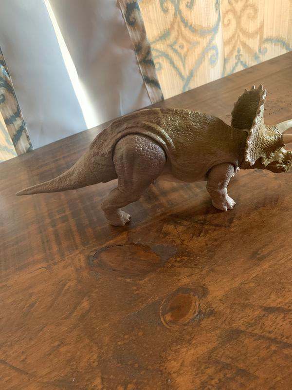 Triceratops