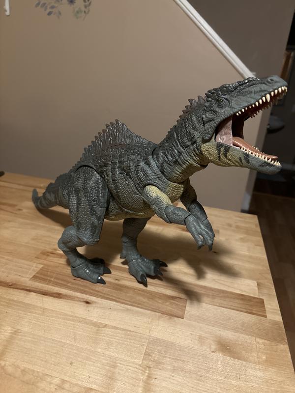 Photo from boymom6